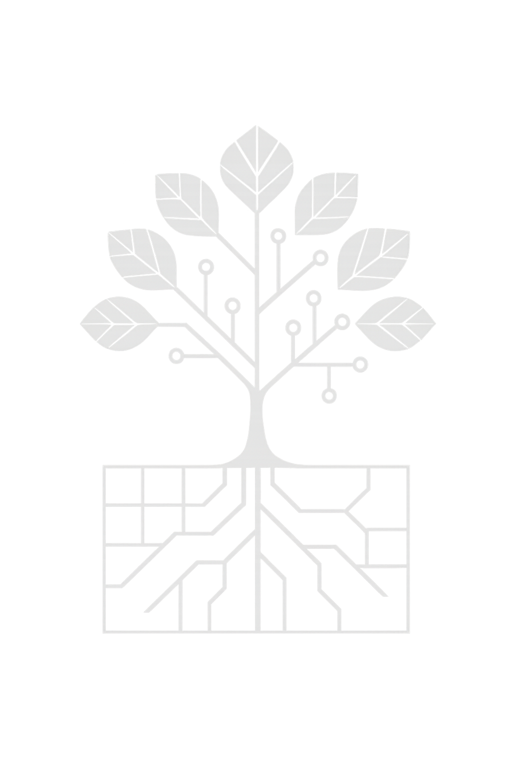 IMPAKT - Durable growth through disciplined operations